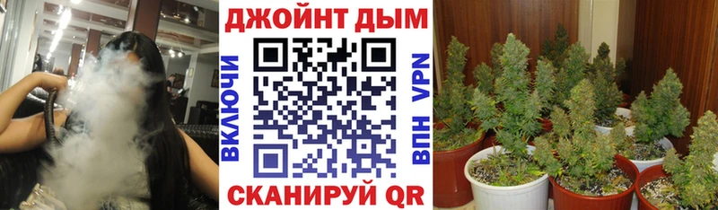 Где продают наркотики Шадринск Гашиш 