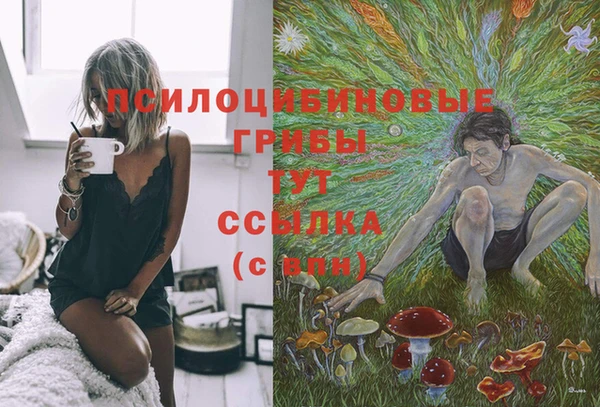 амф Аркадак