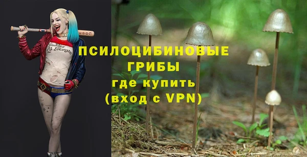 героин Арсеньев