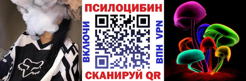 цена   Шадринск  Галлюциногенные грибы Cubensis 