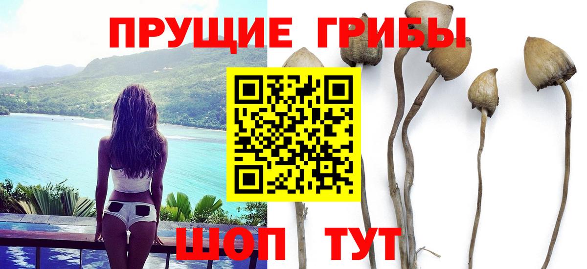 Галлюциногенные грибы Cubensis  Вход с VPN  Шадринск 